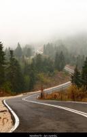 <h2>Athanasios Diakos-Kastriotissa road (13,5km)
</h2><p>Total Road studies.(Fokida region, Sterea Ellada)<br></p>