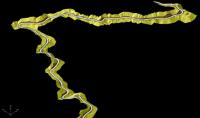 <h2>Doliani - Makrino road (13,5km)
</h2><p>3D design of the mountain road<br></p>